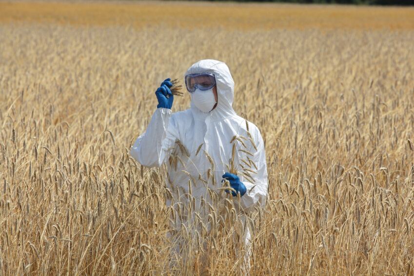 MyToolBox: Have mycotoxins finally met their match?