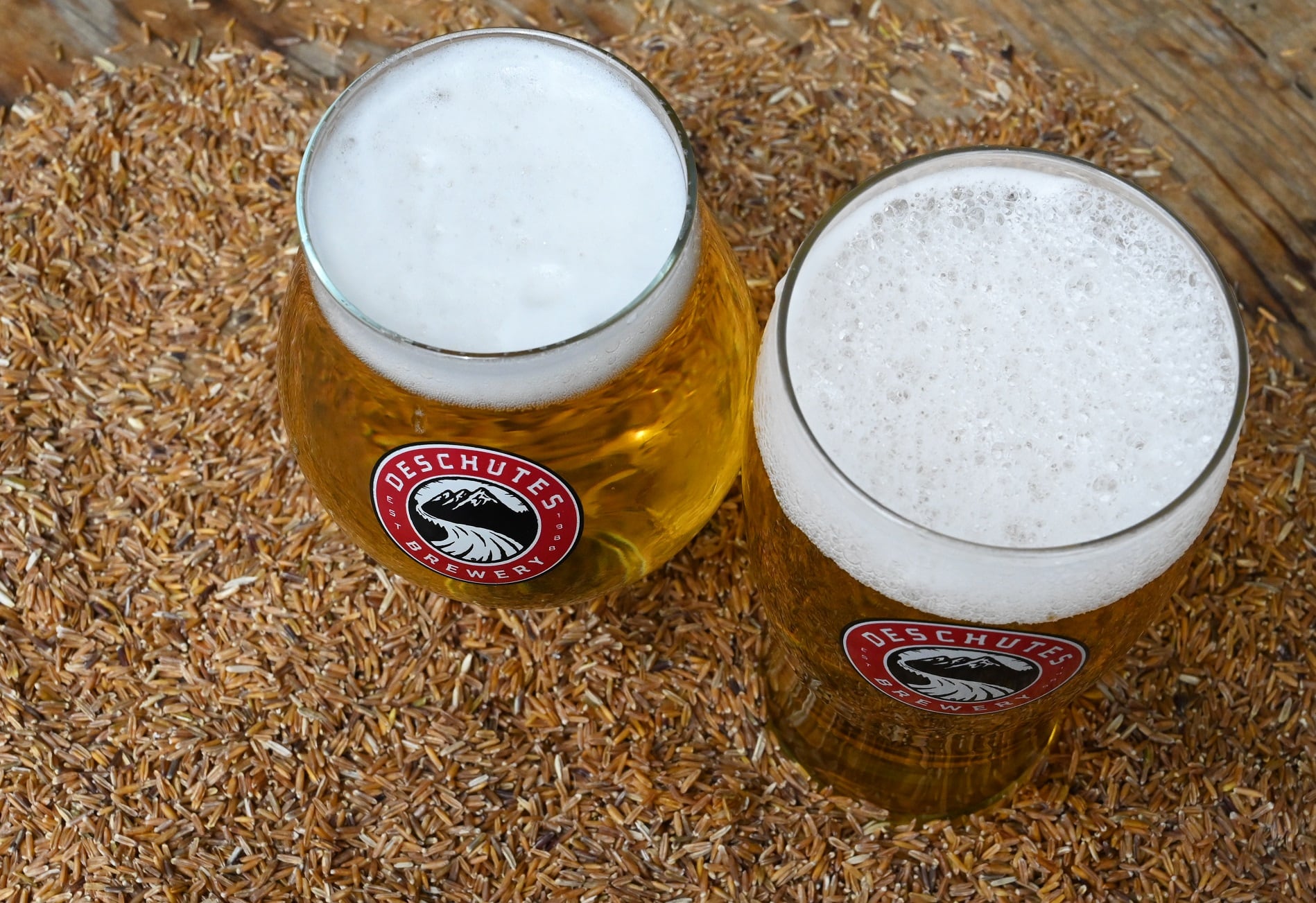 Kernza-Can-the-carbon-sequestering-grain-transform-brewing.jpg