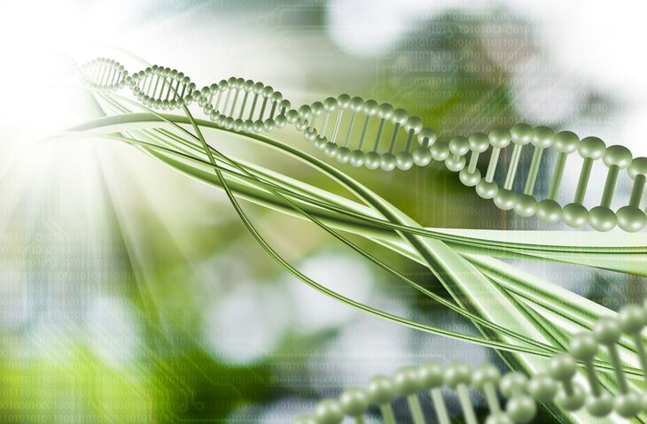 EU-food-industry-pushes-for-transparency-in-gene-editing-rules.jpg