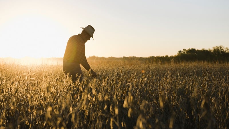 A U.S. soybean farmers