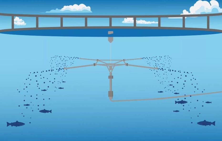 Waterborne feeding system