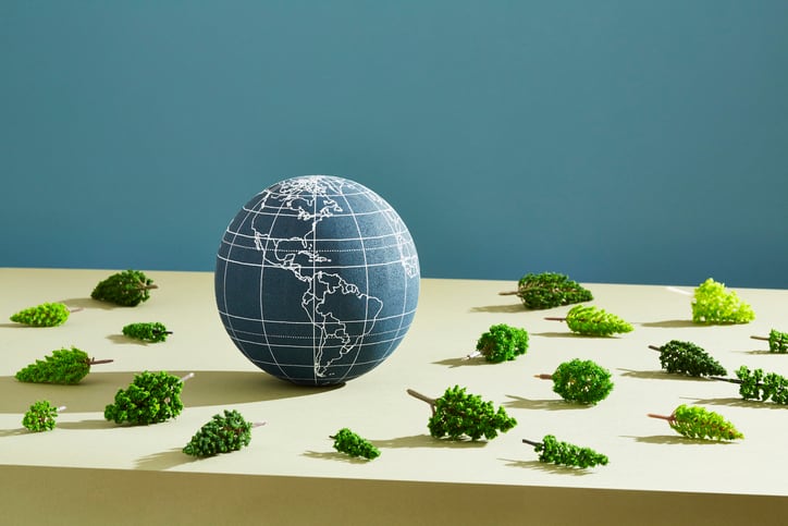 EU parliament adopts deforestation-free commodities law