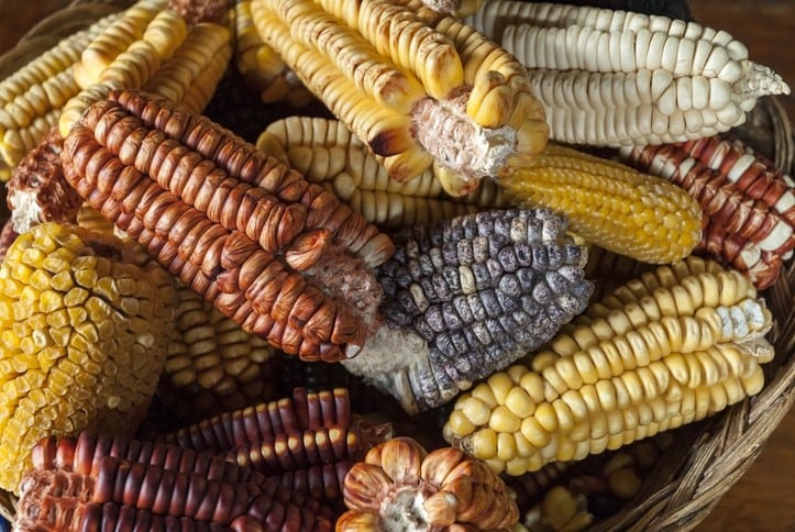 ‘Fast and efficient’: How new near-infrared and machine-learning tech could enable on-the-ground chemical testing of agri products