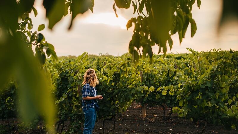 Will the FBA checks make a dent in farmer debt?