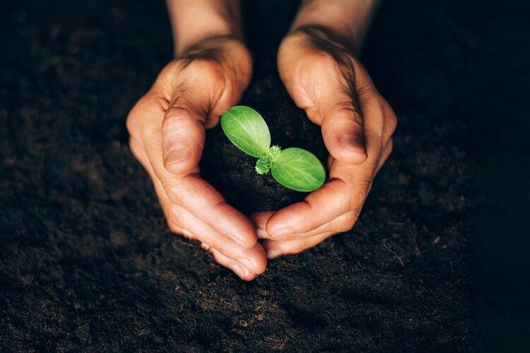 Food-security-threat-Potassium-depletion-in-soil.jpg