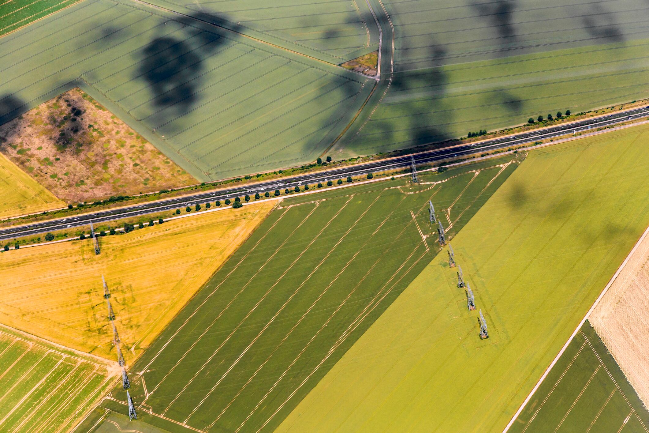 Tate & Lyle brings regenerative farming to Europe. The new French initiative builds on its existing regenerative agriculture programmes for corn in the US and stevia in China.