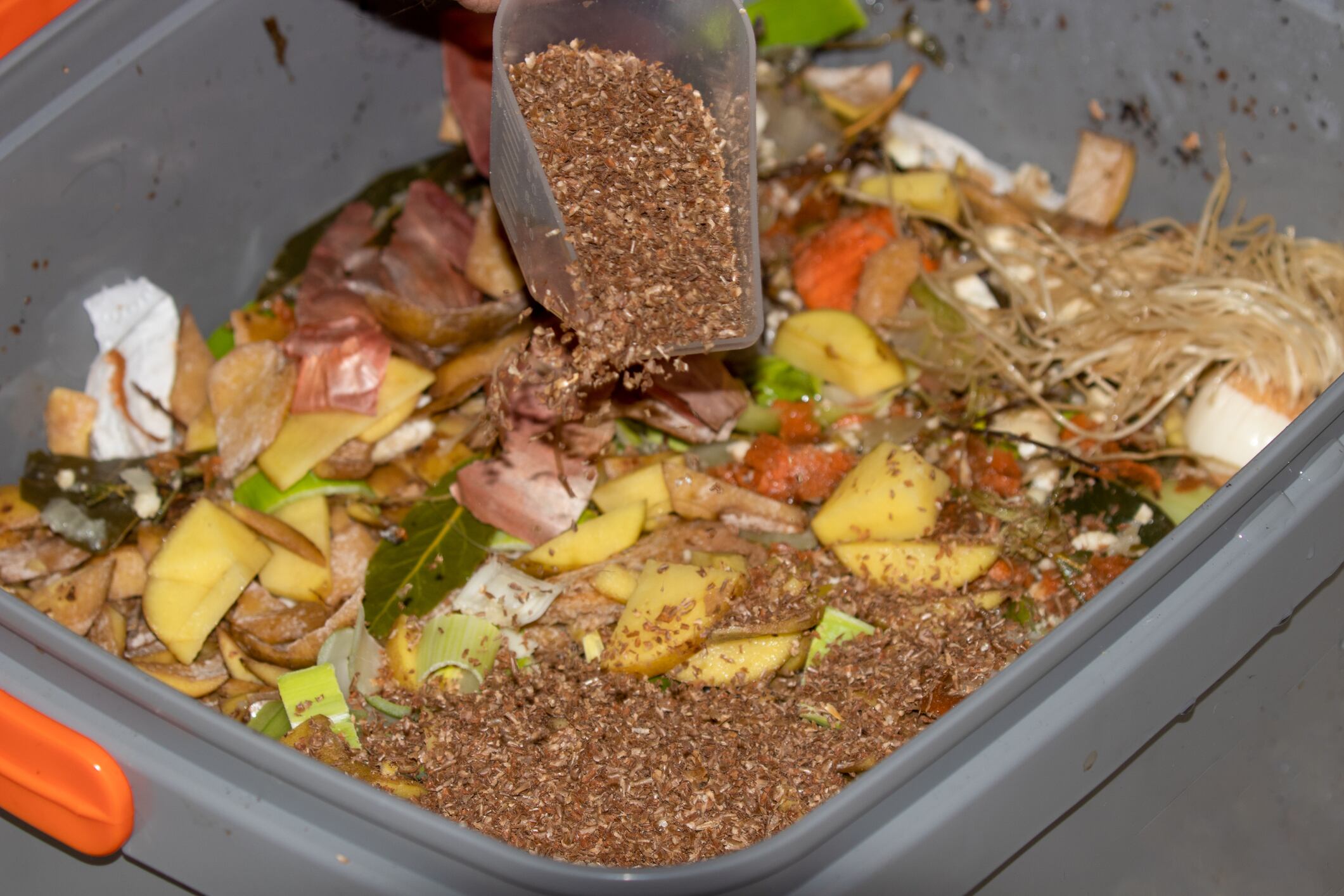 How-tech-advances-could-turn-plant-based-food-by-products-into-heavy-metal-contamination-combatants.jpg