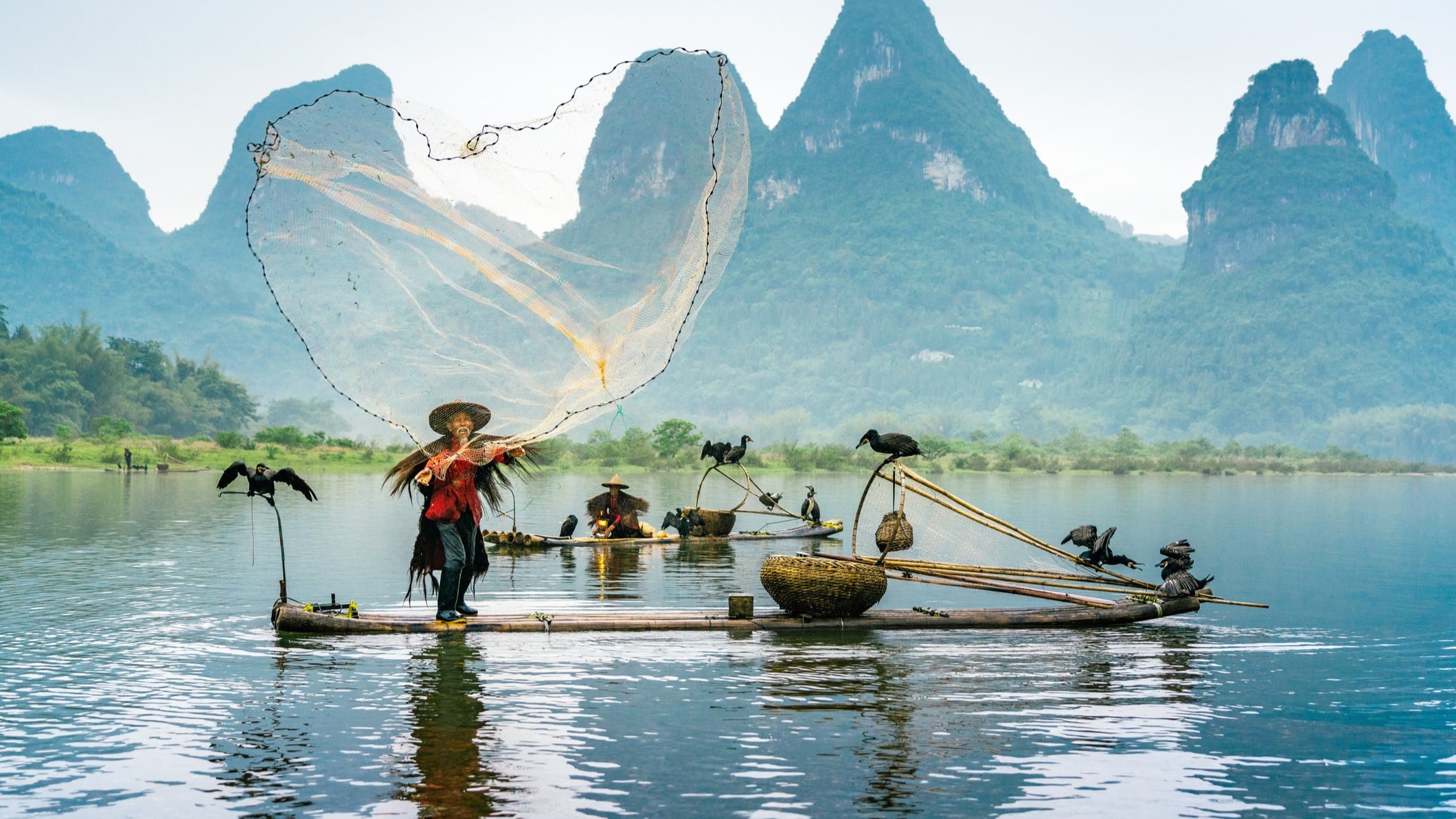 Optimising nutrient absorption: China aquaculture study reveals how diet impacts digestive abilities