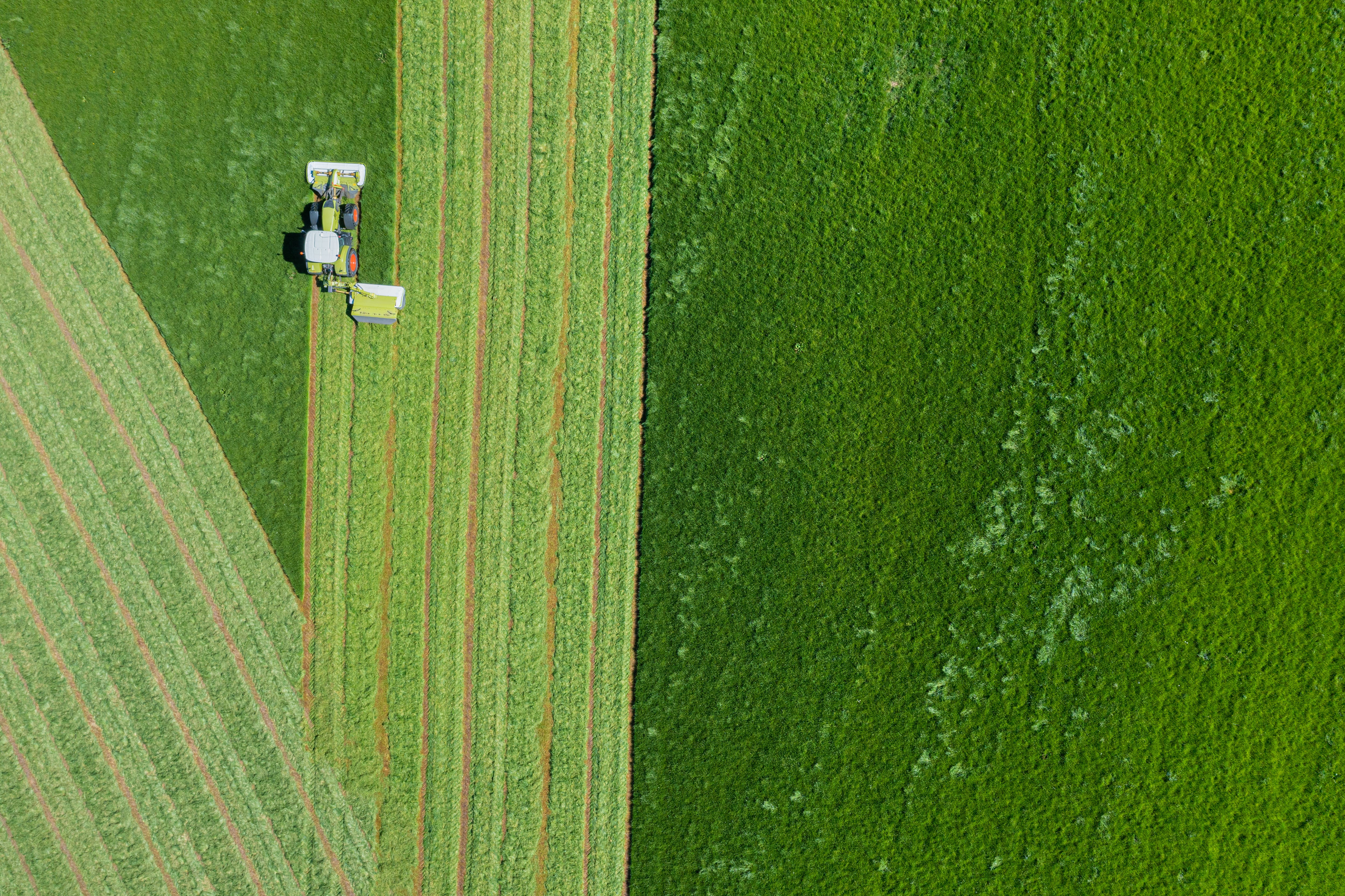 ‘Hidden’ fungus could support future food production