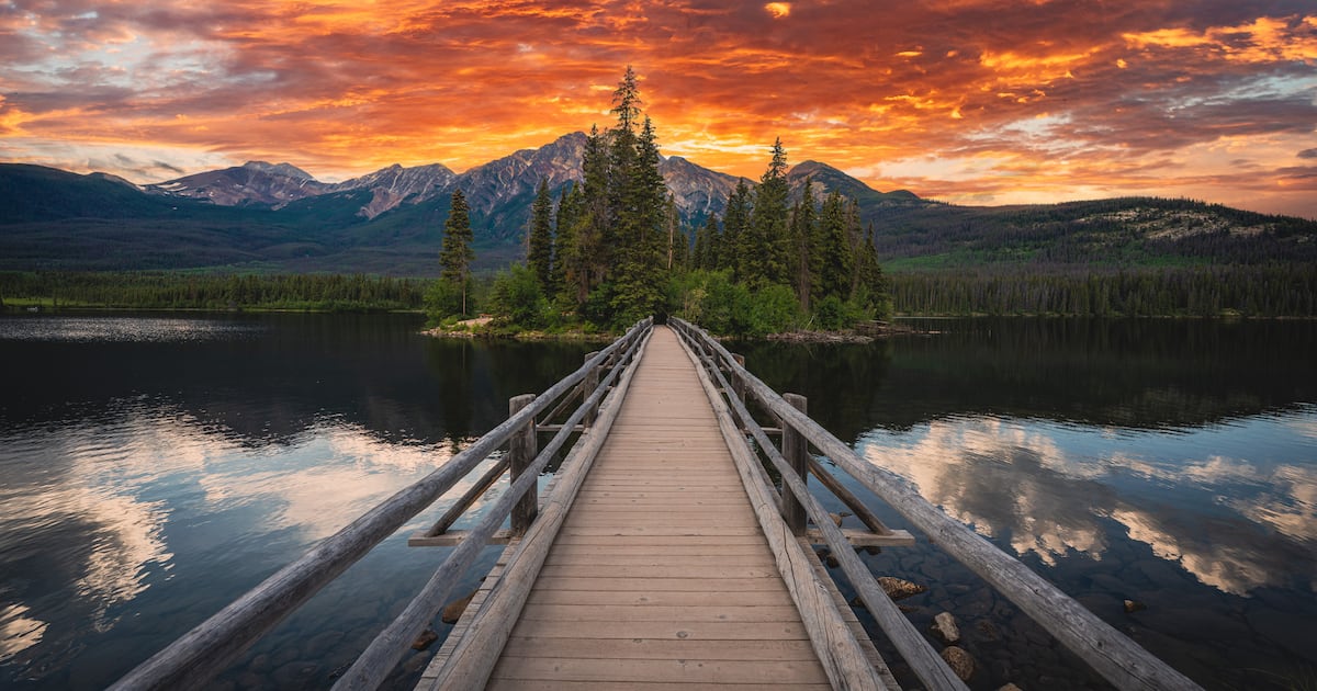 Po Bronson: "I'm betting on the chaos factor going up