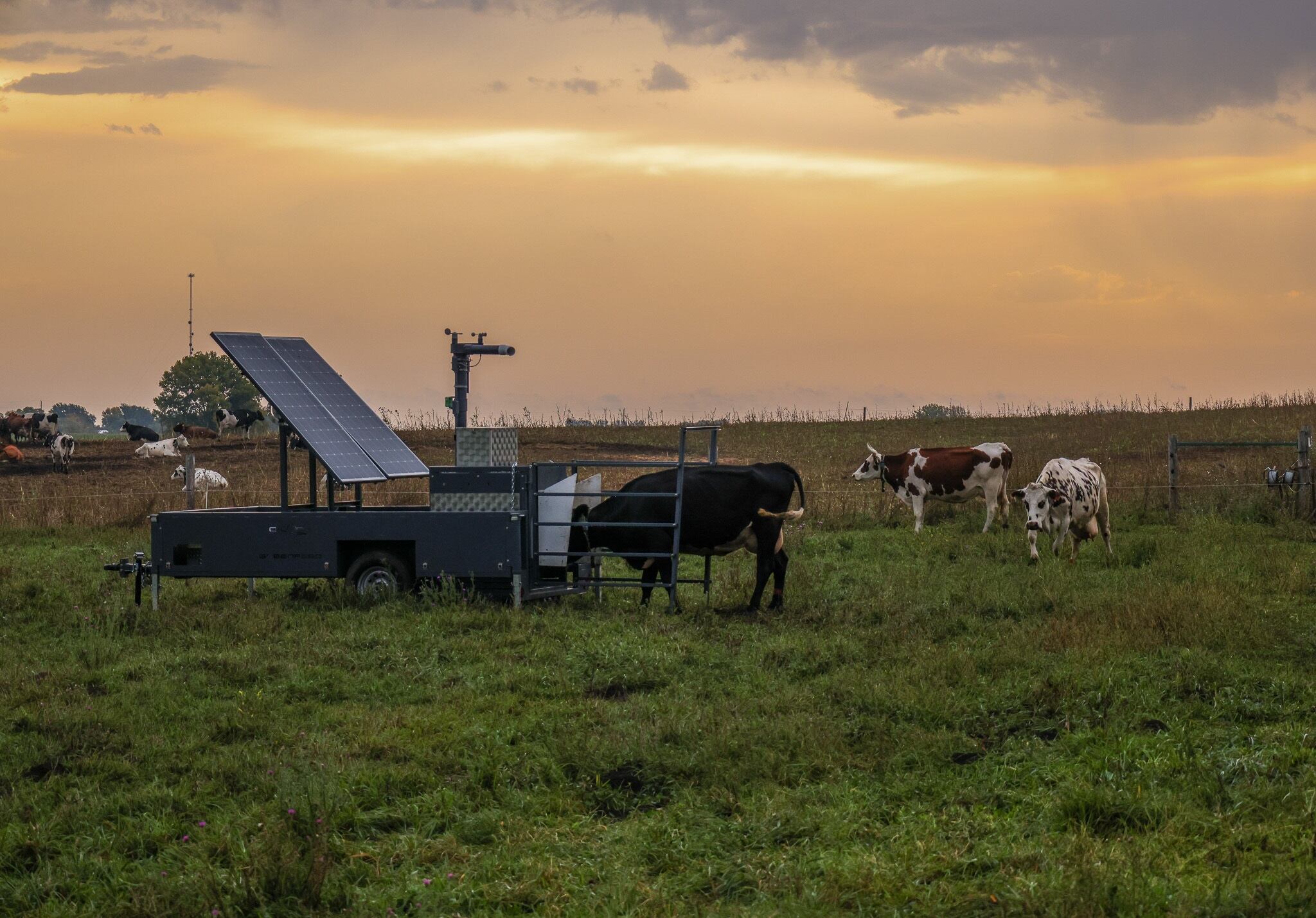 GreenFeed device in field