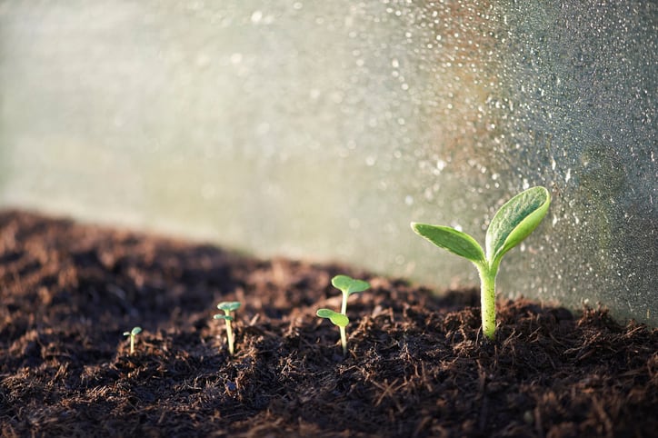 ‘The next two years will be incredible’. Latam investors find reasons to be cheerful