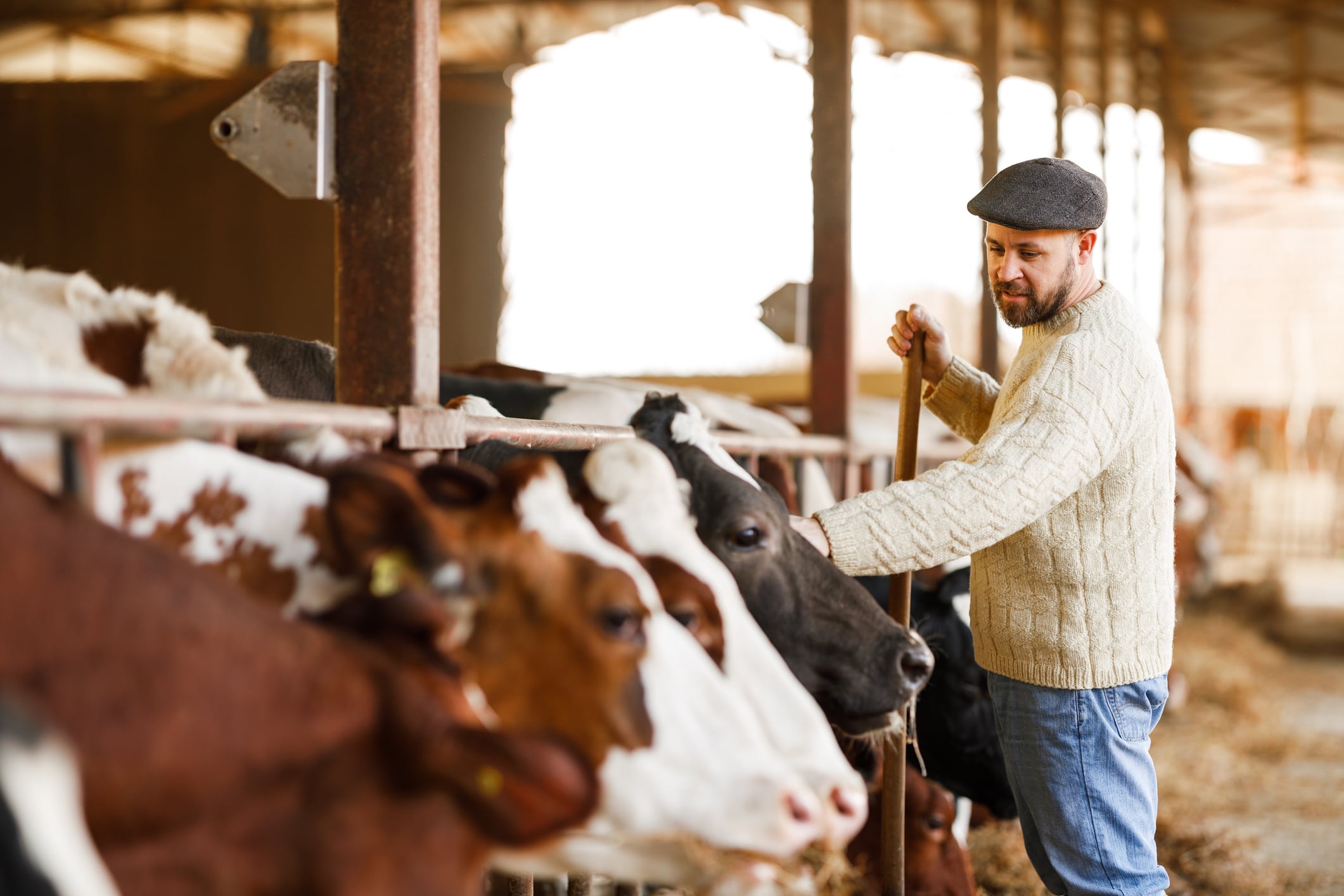 The UK Agri-Tech Centre is leveraging its farm networks – including its South West Dairy Development Centre and smart farm – to counter the common issue of promising innovations stalling before reaching commercial viability.
