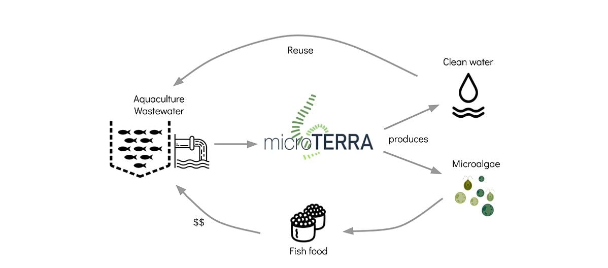 microterra.jpg