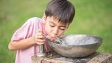 Improved animal production processes can mean a fairer distribution of the world’s water