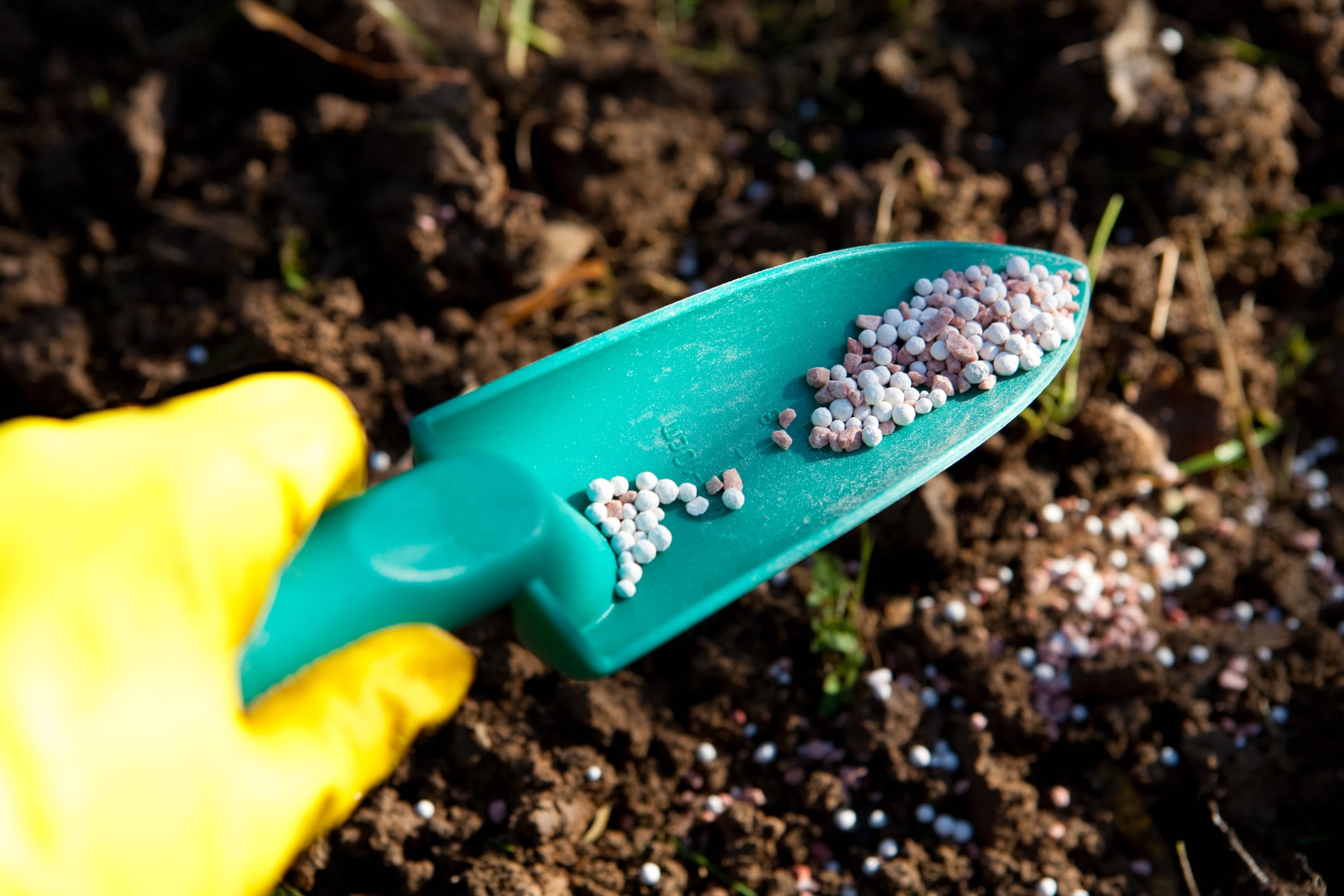 Efficient fertilisation: Why a more sustainable system of fertiliser use is needed to boost food security
