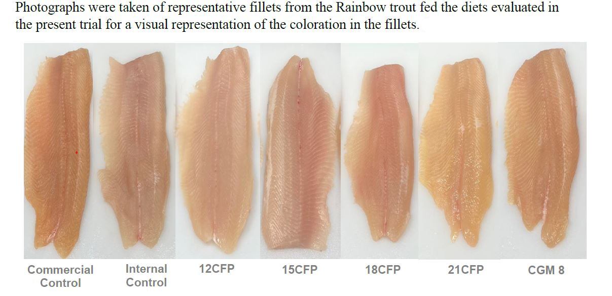 fillets-green-plains.png