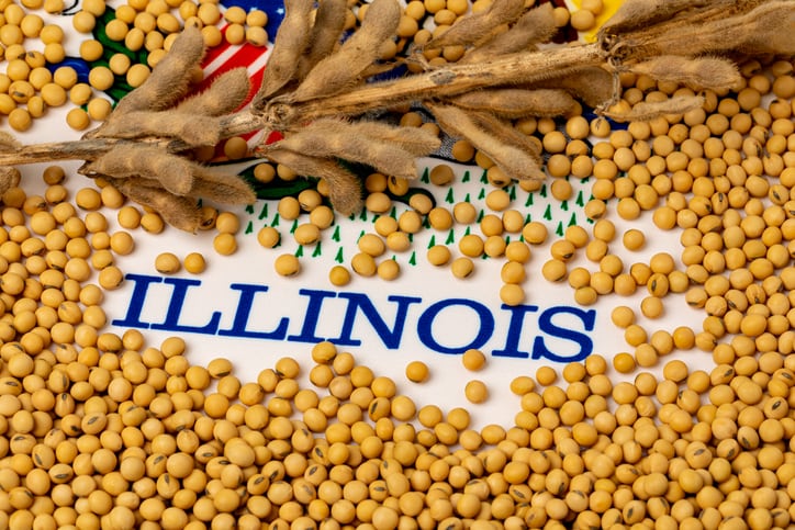 Will US court biofuel blending ruling affect demand for soybean oil and meal?