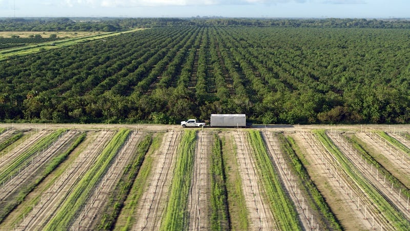 Farm_Florida_DroneShot.jpg