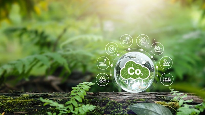 Beyond pilot success: Why scalability remains agtech’s biggest challenge to solve APAC’s carbon emissions battle – expert panel