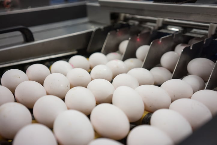 Cargill unveils tool to optimize laying persistency and egg production