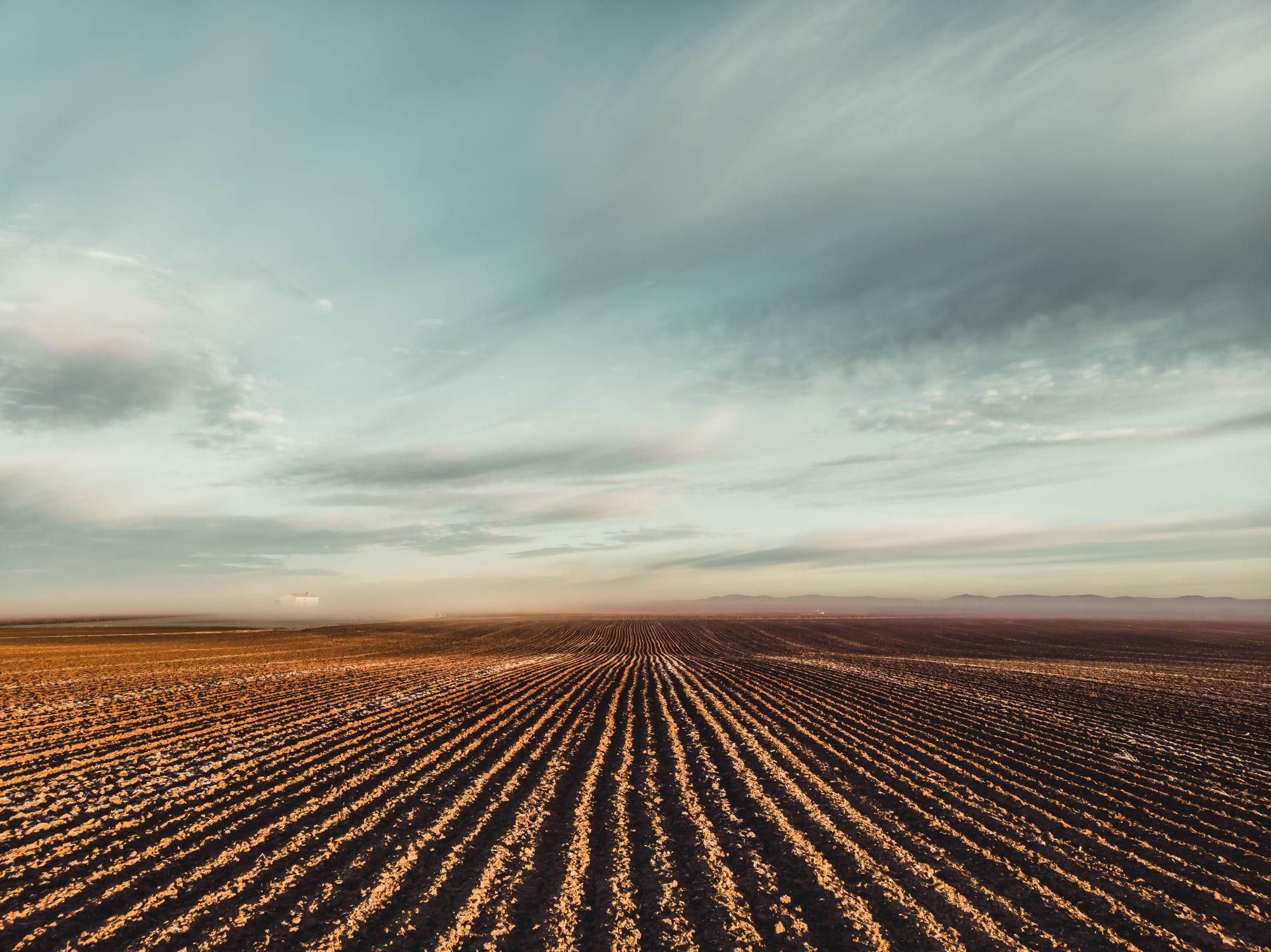 Spain represents the most advanced biological crop solutions market globally, believes Ambienta.