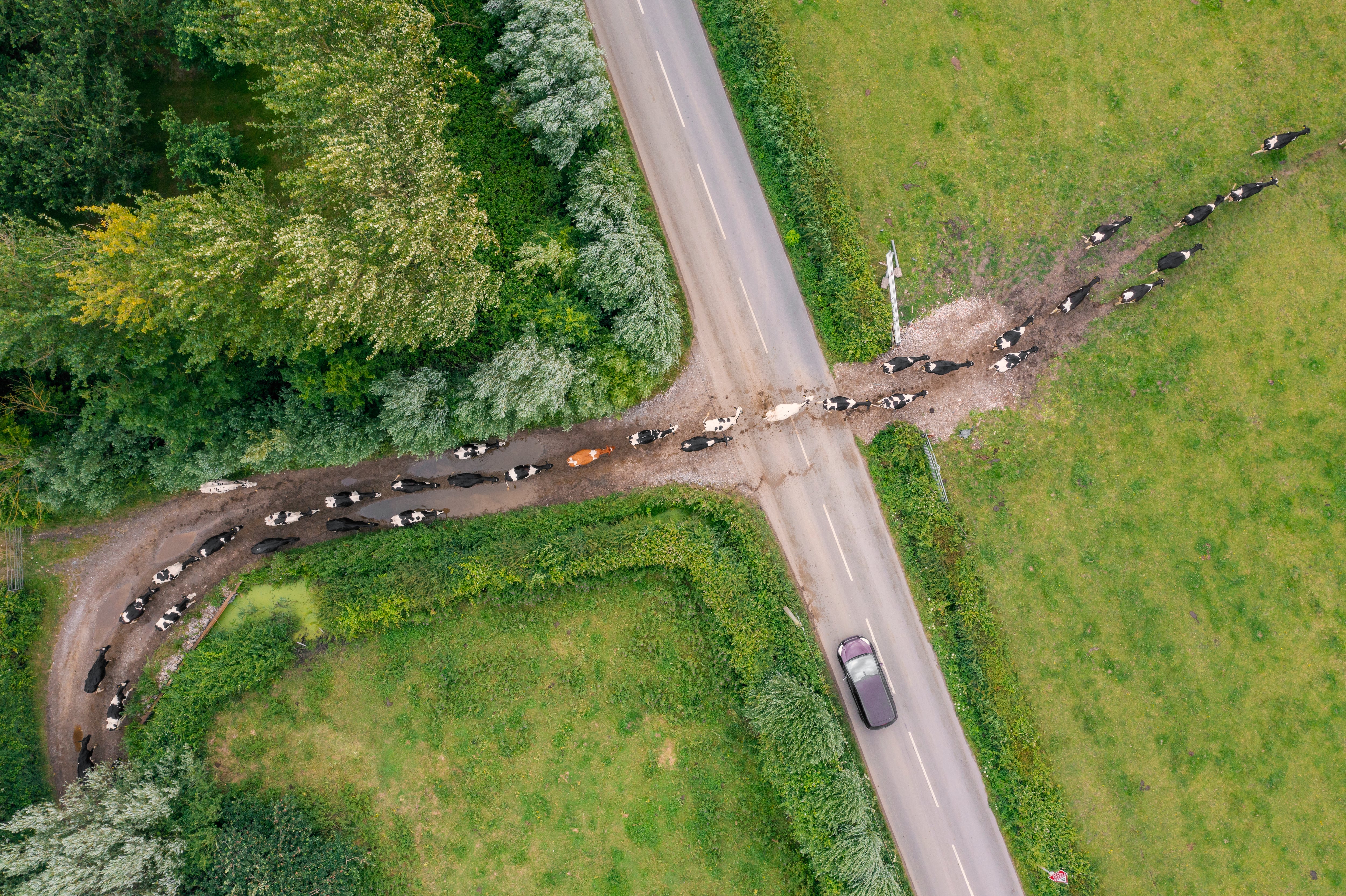 Müller unveils new programme to drive down on-farm emissions