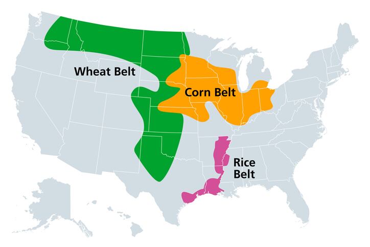 Shadow cast over grain markets by fears for drought-threatened US corn