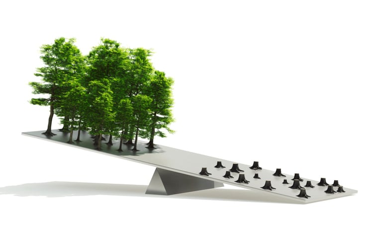 Retailers urge UK to swiftly implement due diligence for deforestation-linked commodities