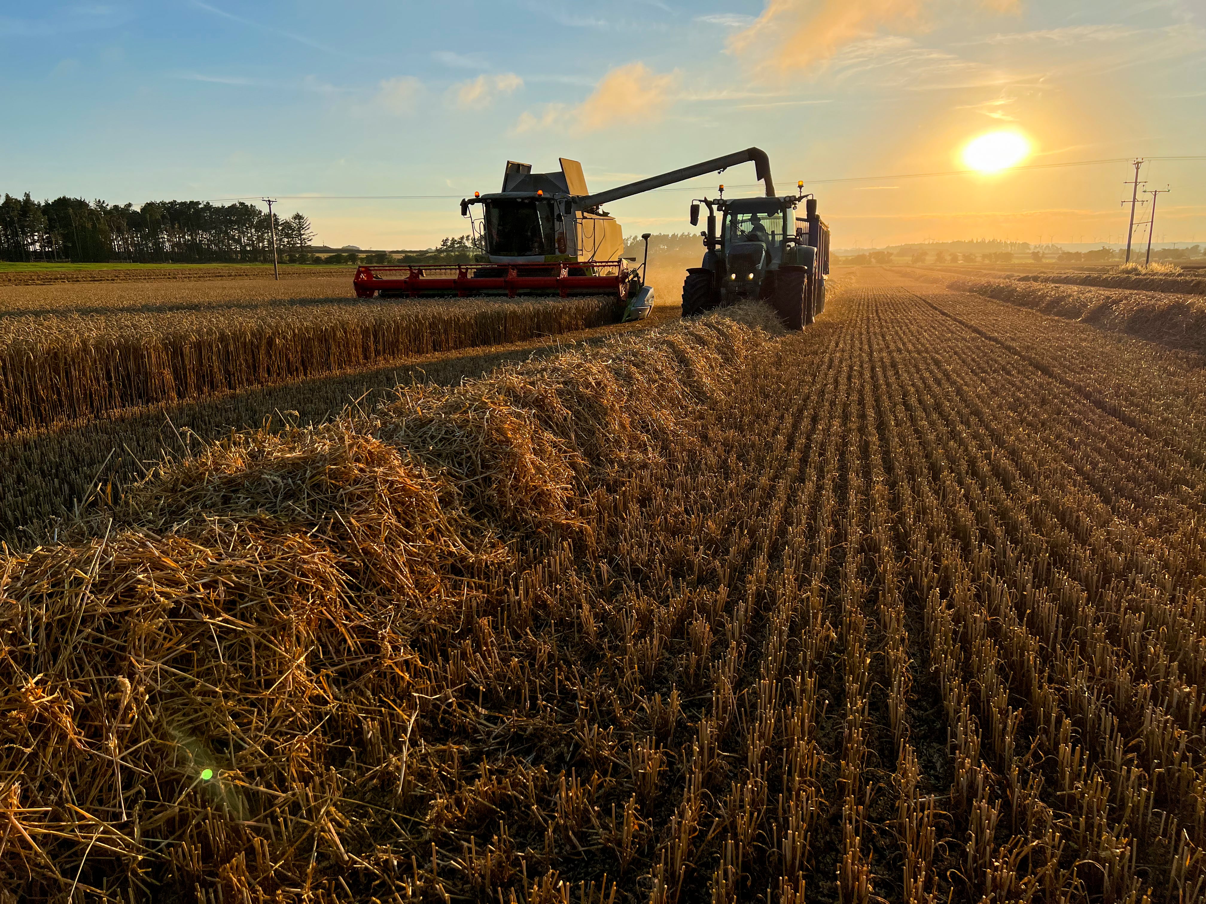 Tesco launches low carbon concept farms in the UK