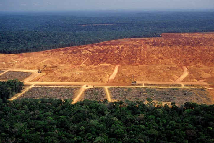 Global commodity traders prepare for EUDR compliance amid implementation challenges