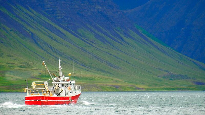 A fishing boat in Iceland