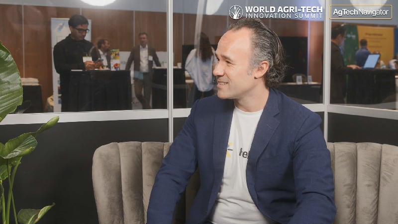 Helios AI’s agentic feature is like working with ‘a team of Bloomberg analysts’