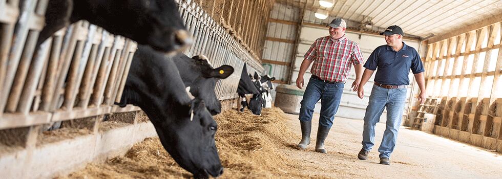 Enhance-digestibility-and-mitigate-feed-waste-with-Yea-Sacc.png