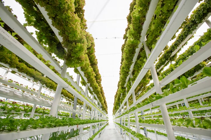 Has-the-environmental-case-for-vertical-farming-just-been-stacked-up.jpg