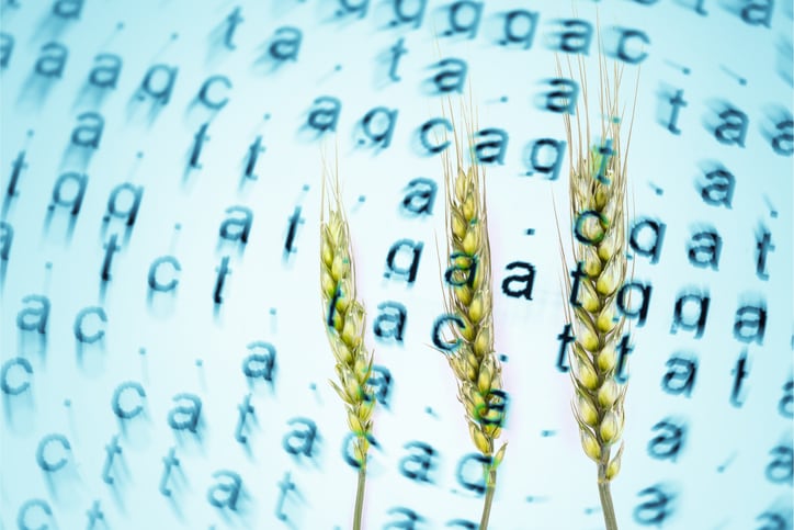 EU agriculture committee calls for ban on patenting NGT-derived plants