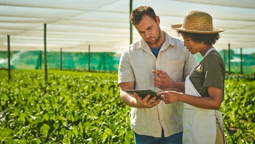 Building buy-in from farmers and the wider supply chain