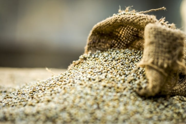 New-research-reveals-three-ideal-genome-sequences-for-pearl-millet.jpg
