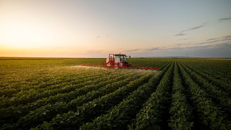 A tractor spraying crops at dawn.