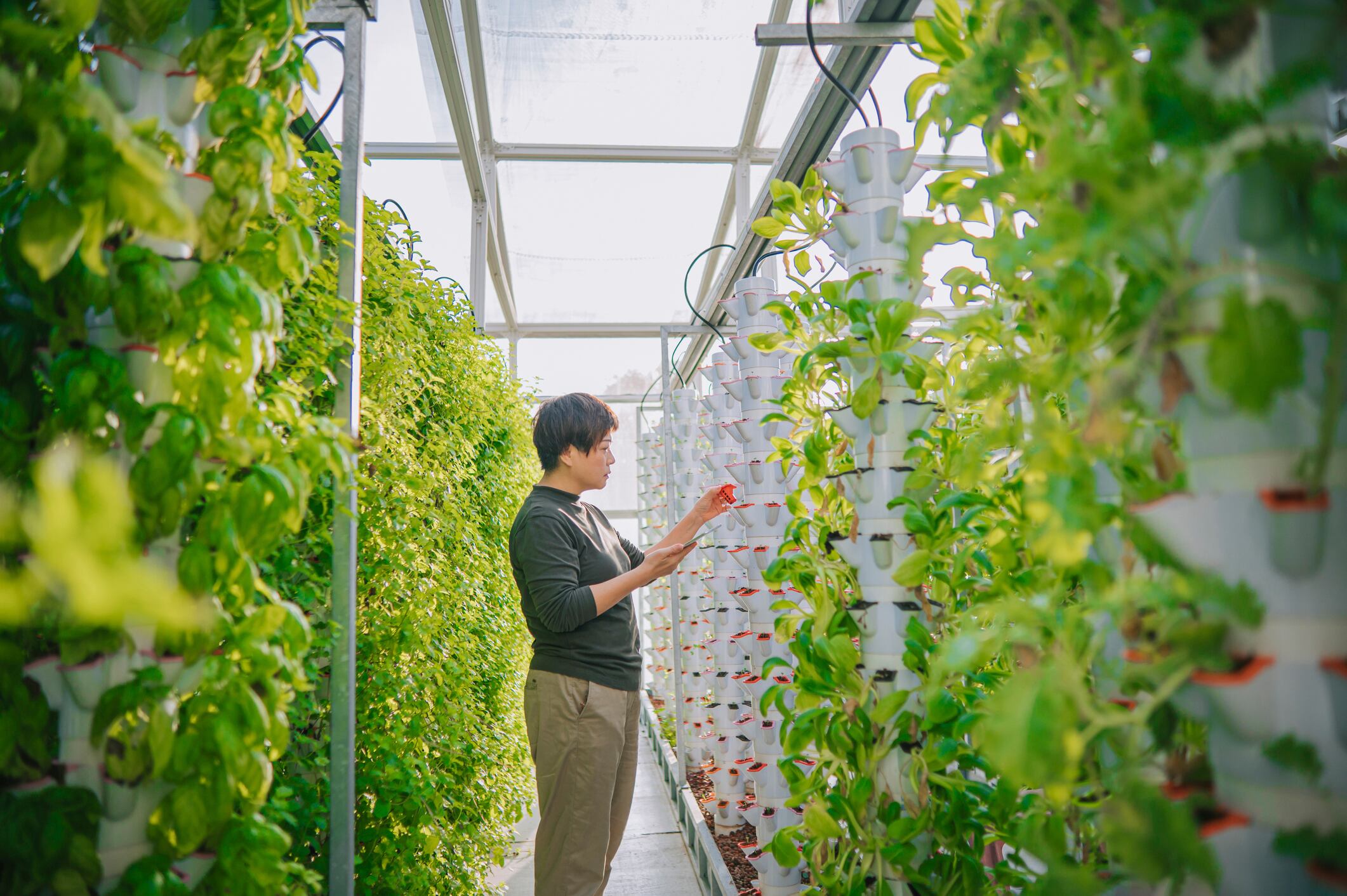 Vertical farming challenges: What are the consumer hurdles that would restrict widespread adoption?
