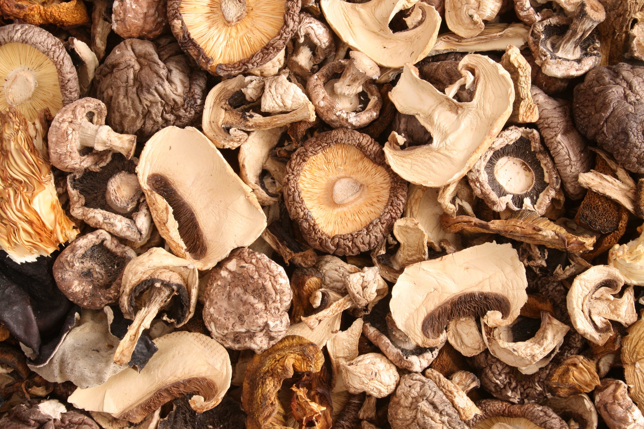Rethinking substrates: Ag-byproducts offer sustainable alternative for shiitake mushroom cultivation