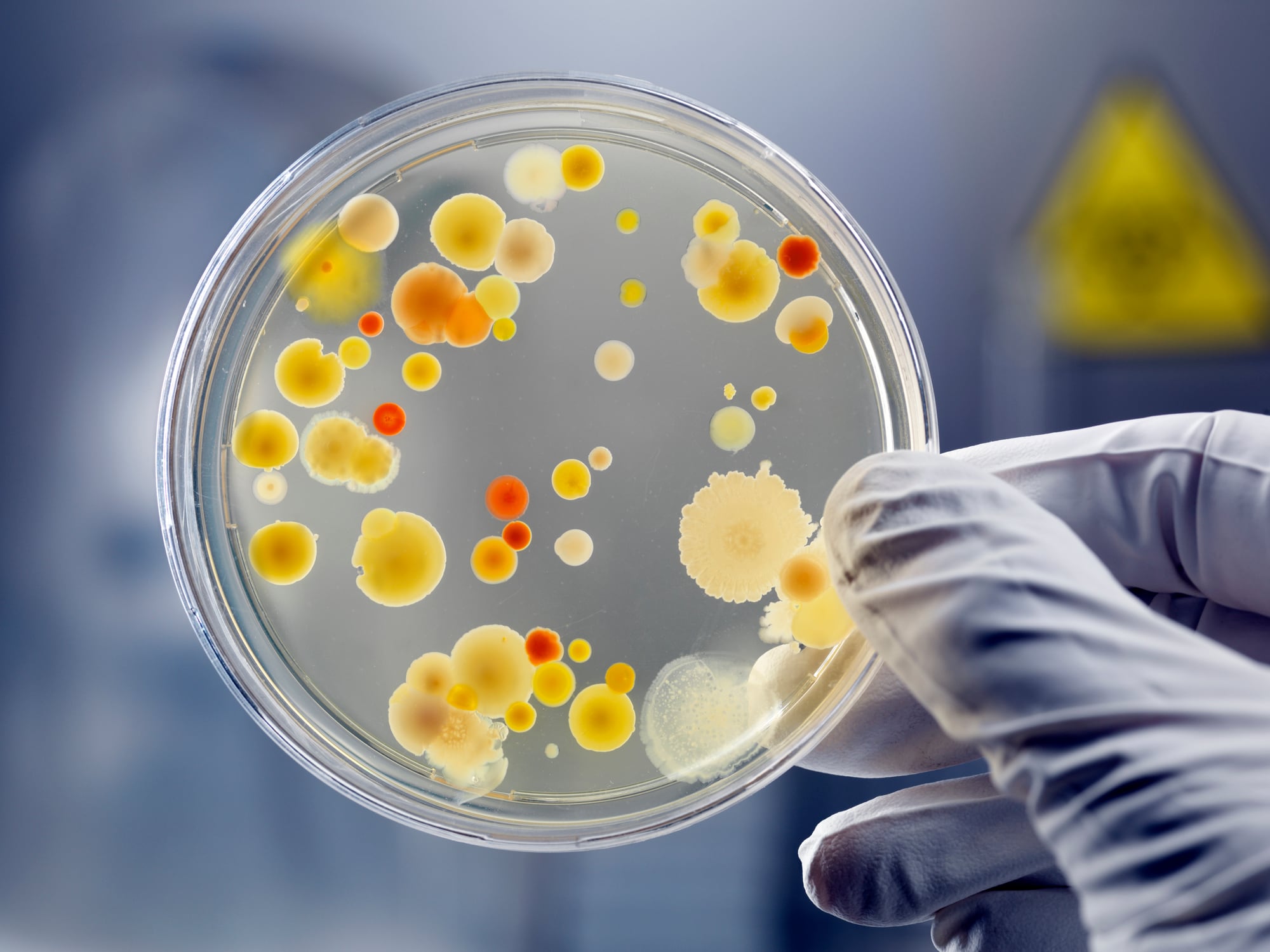Jord BioScience unveils data ‘proving biologicals impact potential’