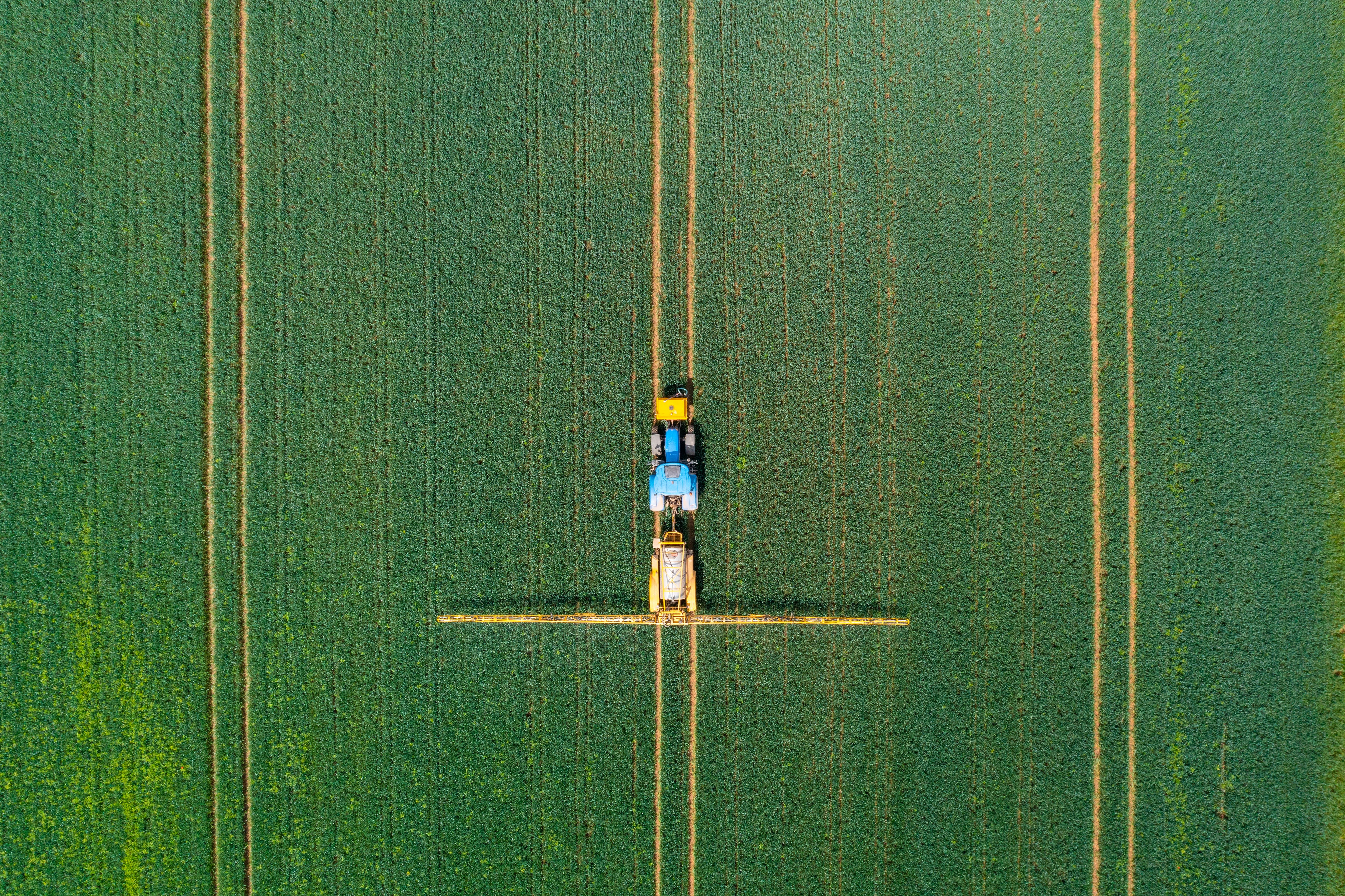 ‘Fundamental’ discovery hopes to revolutionise fertiliser use in farming