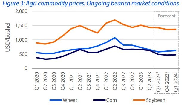 commodity-market-prices-poultry-rabobank.jpg