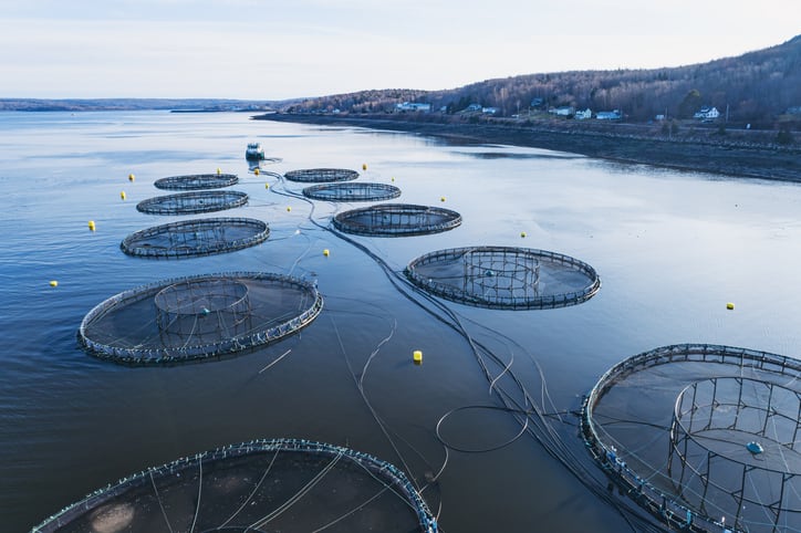 How will industry meet demand for 100m tons of aqua feed by 2050?