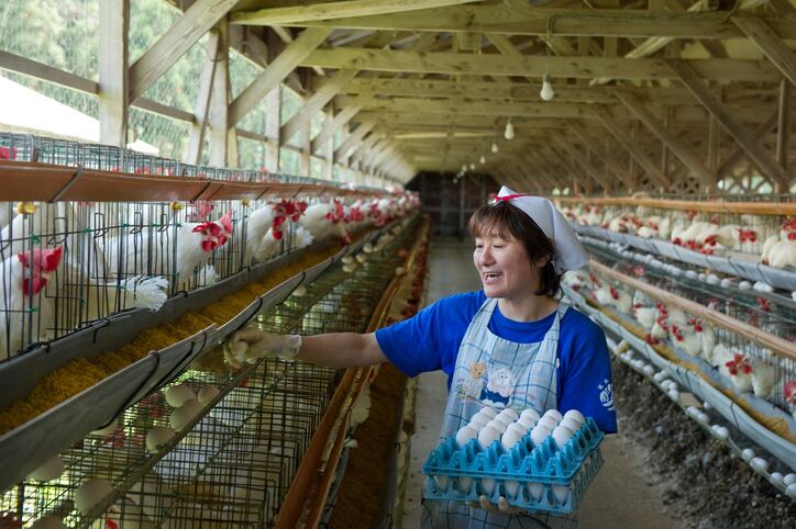 Disease hurting Japanese feed demand