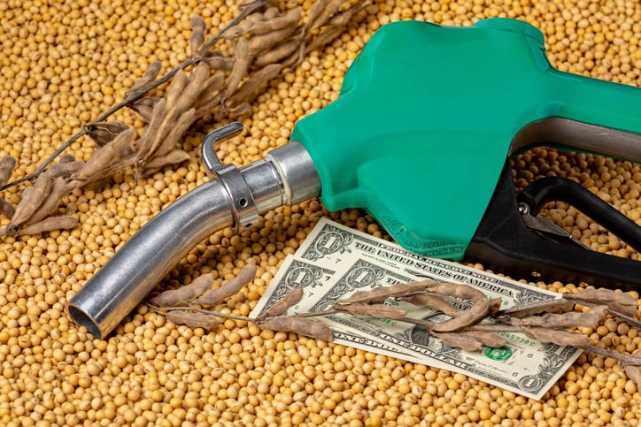 Agri-commodity market tracker: Recovery in soybean oil price