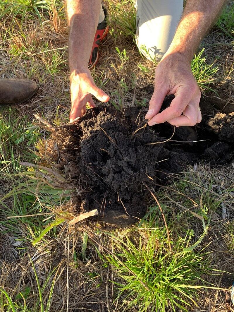 Boomitra-Soil-Restoration-South-America.jpg