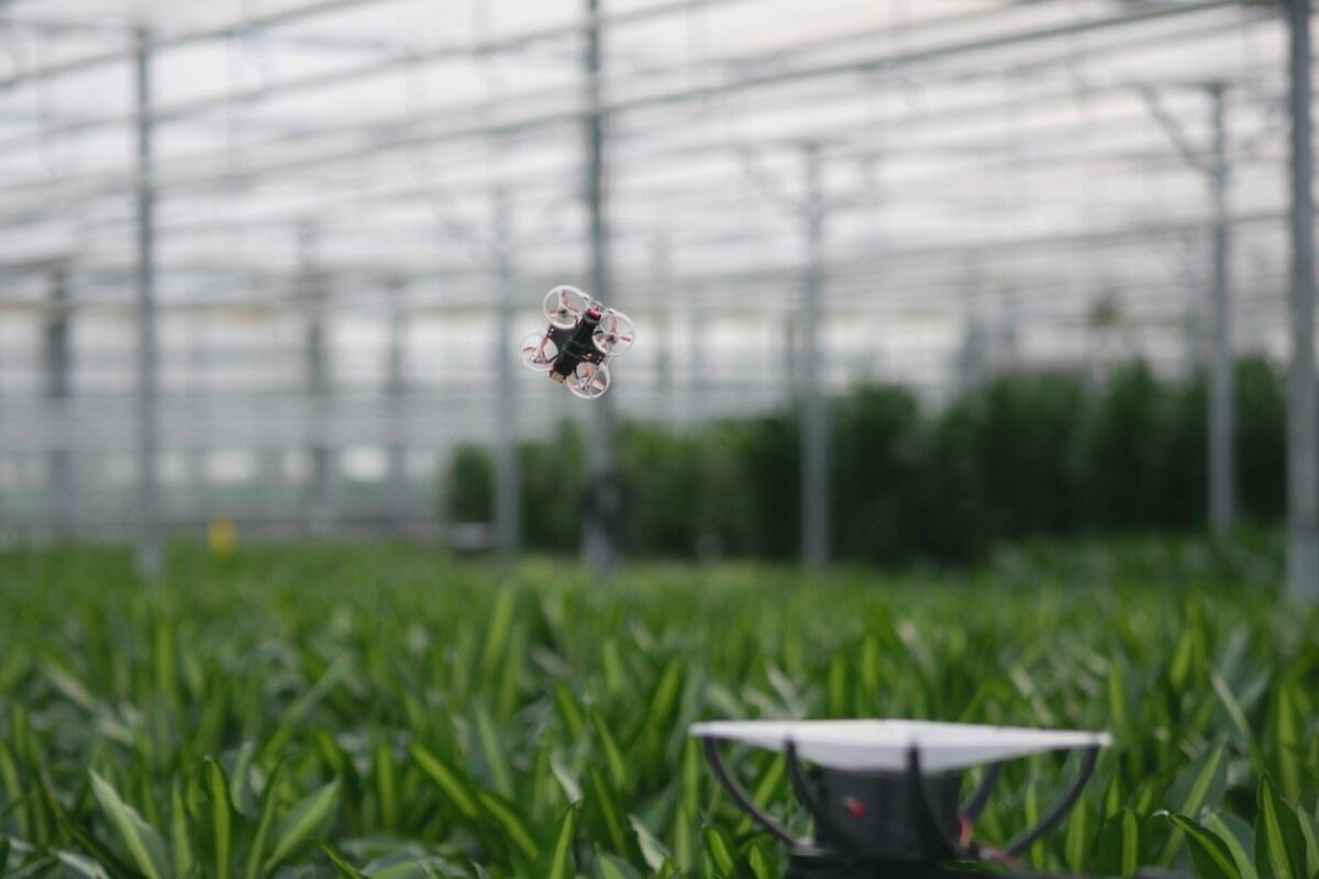 PATS lands €2.7M to scale bat-inspired pest control drones for growers worldwide