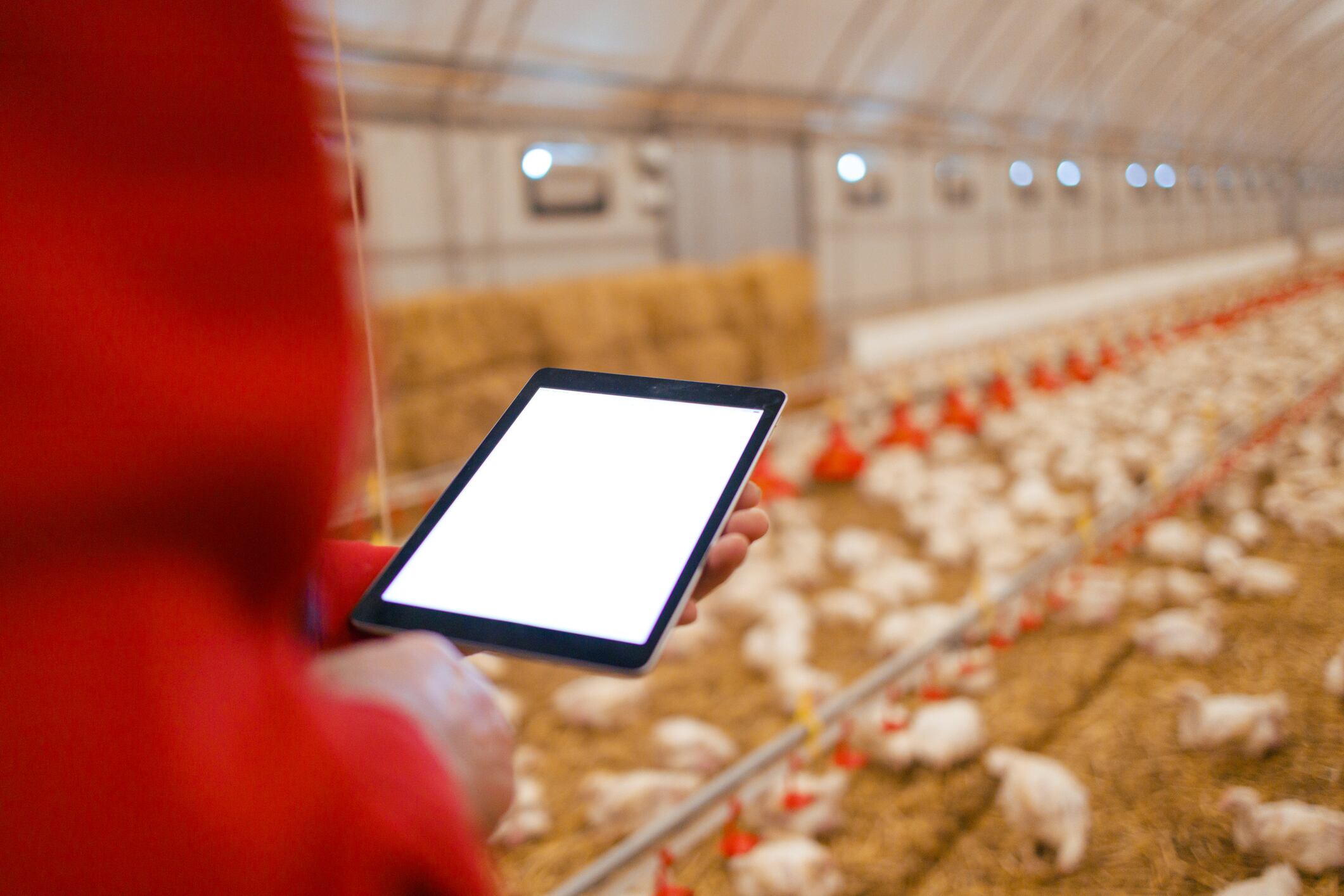 Munters’ Speria platform aims to turn real‑time farm data into actionable insights, helping operators optimise conditions and improve performance in livestock systems.